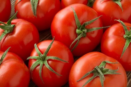 Fermerlərə şad xəbər: Rusiya türk pomidorlarından razı qalmadı