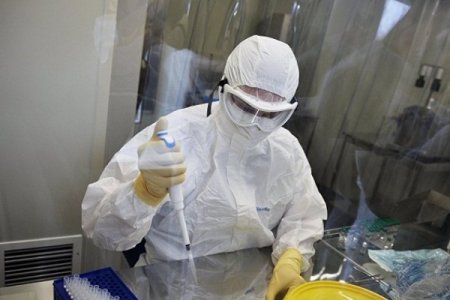 702 nəfər Ebola virusundan öldü