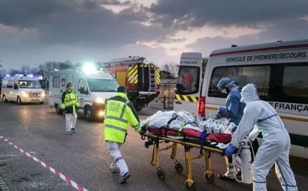 Fransada son sutkada koronavirusdan 263 nəfər ölüb