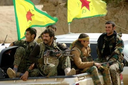 PKK-dan etiraf: Mülki paltar geyib, zeytun sahələrində...