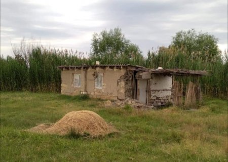 Tərtər rayonunun, Mamırlı kəndində bir yolun kənarında yaşayan məcburi köçkün ailəsi