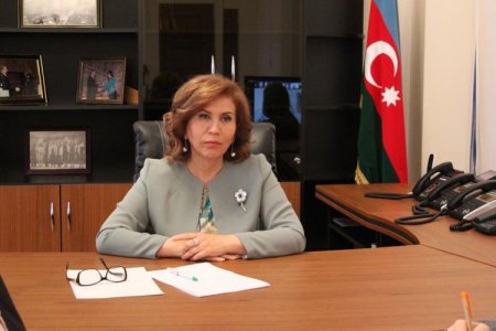 Dövlət Komitəsinin sədri BMT-nin İnkişaf Proqramının Azərbaycandakı nümayəndəsi ilə görüşüb