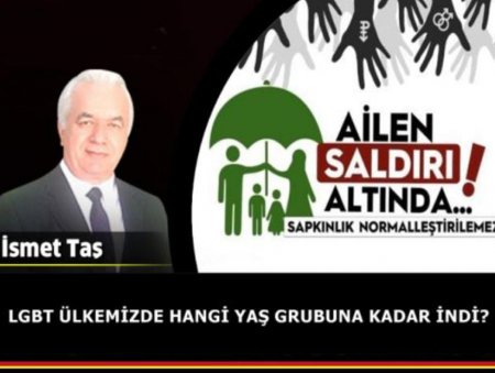 LGBT ÜLKEMİZDE HANGİ YAŞ GRUBUNA KADAR İNDİ?
