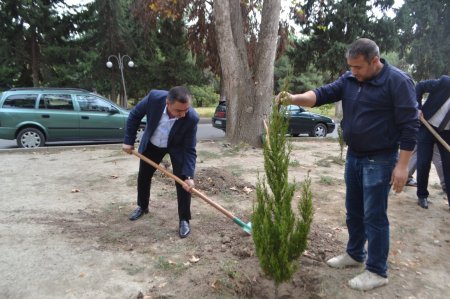 “Yaşıl dünya naminə həmrəylik ili” çərçivəsində aksiya keçirilib.