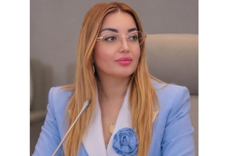 Suverenlikdən sonrakı mərhələ: VIII Qurultay nitqinin strateji hədəfləri və Azərbaycanın yeni güc formulu - ŞƏRH